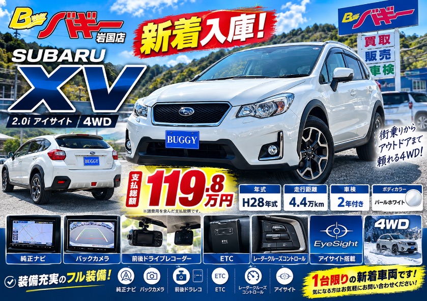 最新のチラシ