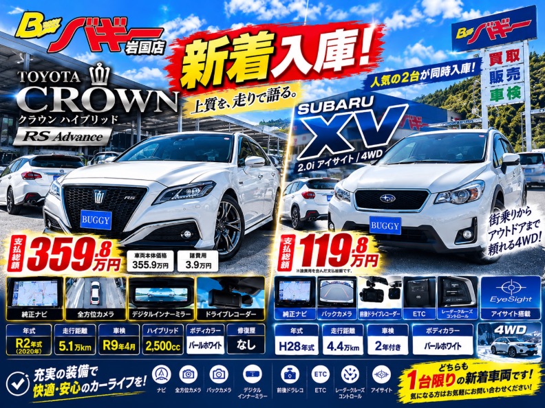 最新のチラシ